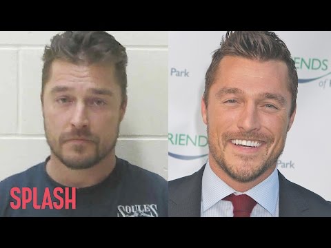 Chris Soules Enters Not Guilty Plea | Splash News TV