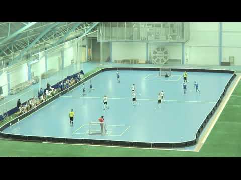 D1 pojat videotehtävä syksy 2018