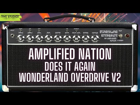 Amplified Nation Wonderland Overdrive v2 combo 2024 - Black image 5