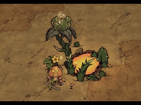 [DST] Best way to deal with Deadly Brightshades AUTO FARM