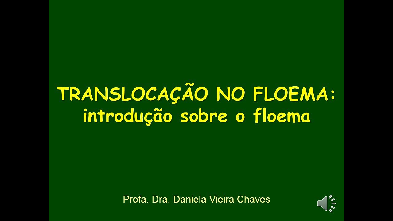 Aula 1: TRANSLOCAÇÃO NO FLOEMA: introdução sobre o floema