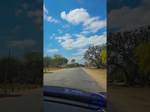 El Tala, Salta #folkloreargentino #ElTala #rutasypaisajes