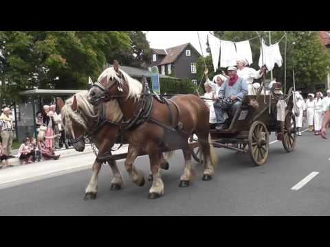 Altstadtfest 2016 in Wolfenbüttel/Niedersachsen
