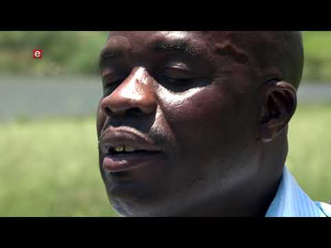 Checkpoint EP 245 eTV Topical