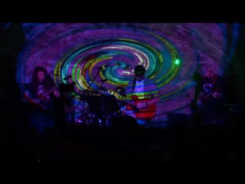 Magga Ginco - Whales on a Trip