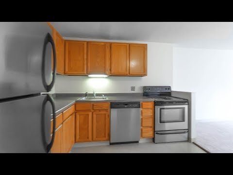 Tour a Gold Coast / River North D-tier 1-bedroom at Chestnut Place apartments