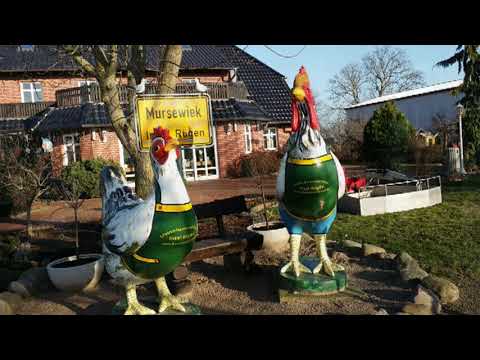 Rügen im Januar 2020