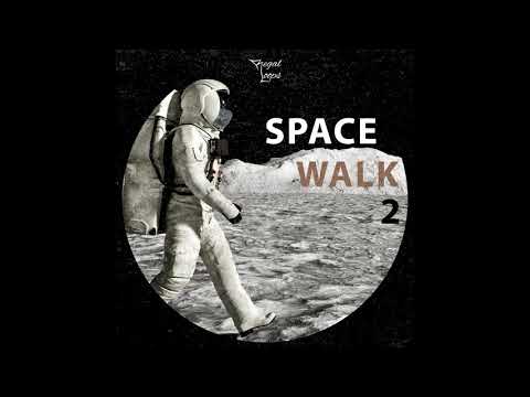 Free Download Space Walk 2 WAV-FLARE