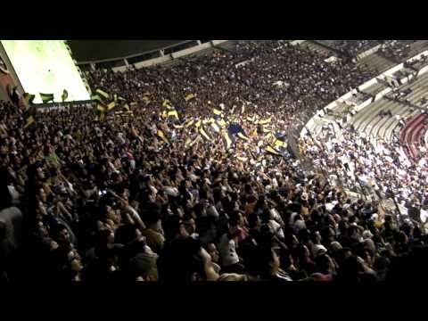 "Pumas Rebel - Como te va crema. Exclusivo !!!" Barra: La Rebel &bull; Club: Pumas
