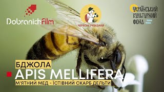 БДЖОЛА: еко-програма 