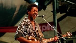 Hand Me Down My Moonshine by Luther Allison