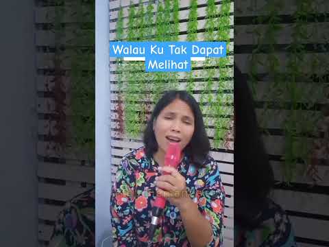 Walau Ku Tak Dapat Melihat #lagurohanishorts