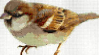 cross stitch world bird