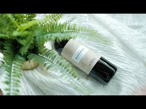 Wine Gallery - Negroamaro - Cantine de Falco Negroamaro 2017