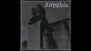 Amygdala - Our Voices Will Soar Forever (Full Album) 2019