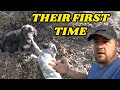 Guard Dogs Got A Little Too Close To DANGER