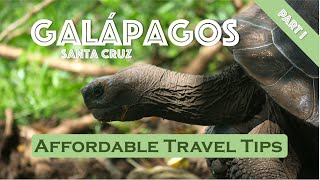 Galapagos Islands Travel Guide - SANTA CRUZ on a budget | 4k Vlog Part I 🐢☀️ #travelguide