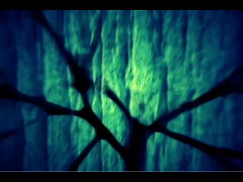 Arms And Sleepers - I Am A Strange Loop (Official Video) {HD 720p}