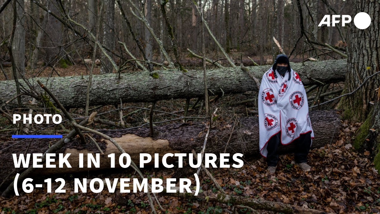 PHOTO - The week in 10 pictures (6-12 November) | AFP