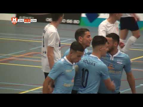 Samenvatting ZVG - CFM 17/18