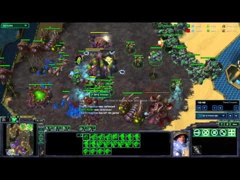 Terran Bronze to Masters Allin Introduction 2014
