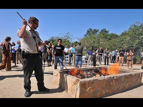 Burning rhino horns at San Diego Zoo Safari Park