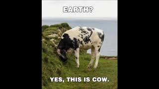 Deliverance - If We Faint Not.