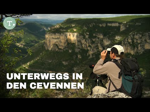Südfrankreich abseits des Trubels: UNESCO-Weltnaturerbe Cevennen