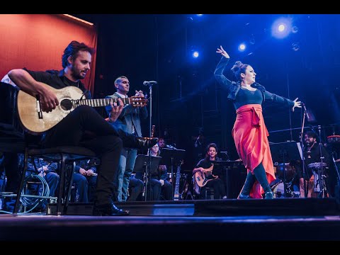 "Llanto" Live at Berklee Performance Center, with Ismael Fernández - Soundscapes of Spain