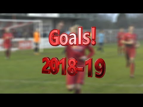 Wisbech Town goals 2018-19 (HD)
