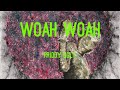 Priddy Ugly - Woah Woah (Lyrics)