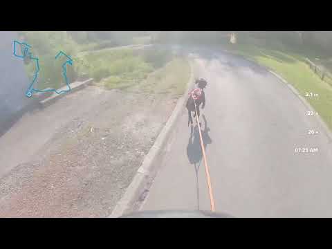 FSCL: Stepwedstrijd Zoran @Arleux