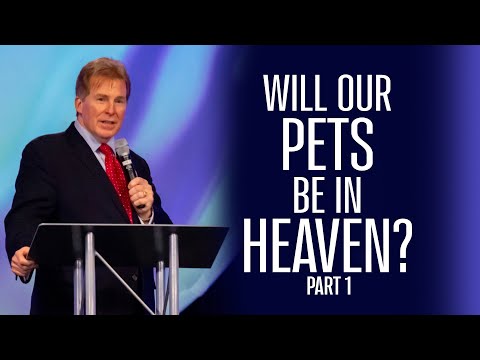 Will Our Pets Be in Heaven? Exploring the Relationship Between Animals and Eternity