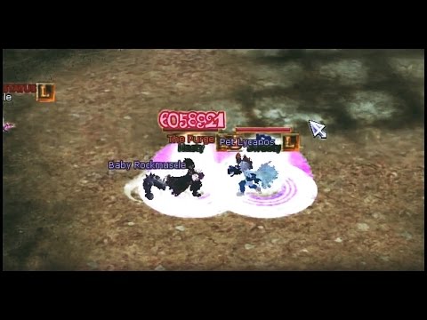 Insanity Flyff Arena Fun with Sweety -2-