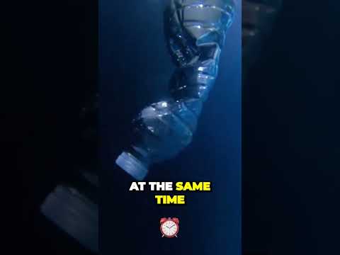 Unbelievable Pressure  What Happens to Your Body while Diving