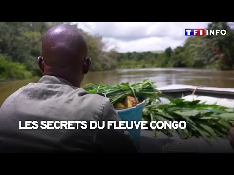 À la découverte des secrets du fleuve Congo