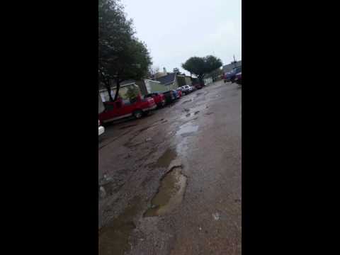 Shadow brook north apartments