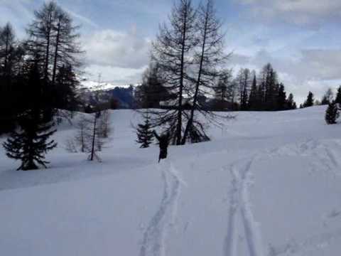 Pokers Freestyle Team