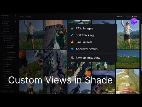 Review and share securely to clients