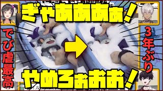 ３年ぶりに洗濯されるでびる