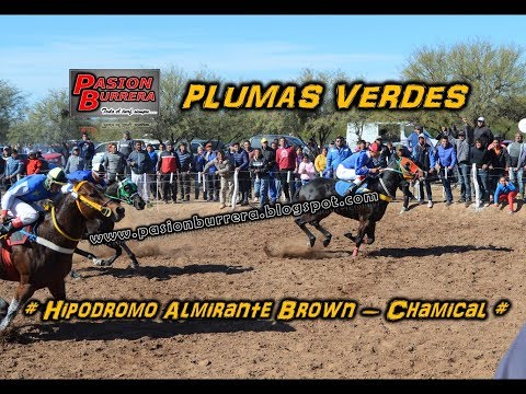 Plumas Verdes, Chamical (22-07-18)