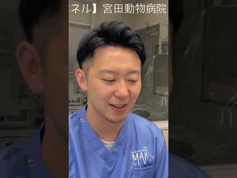 くしゃみについて詳しく解説