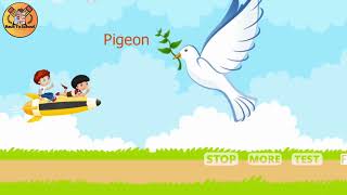 Kids Learn Birds Names | Birds Name with Pictures for Children | @BackToSchool-Official