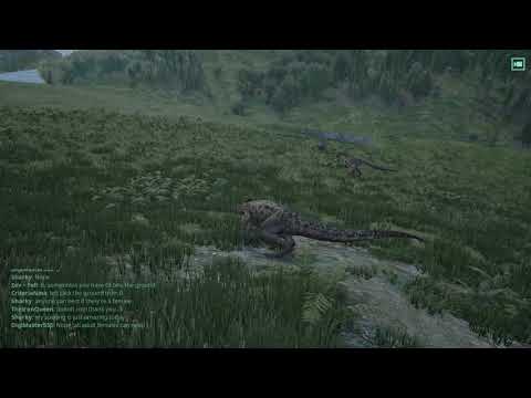 Dilo vs Allo(1v2)-The Isle Gameplay