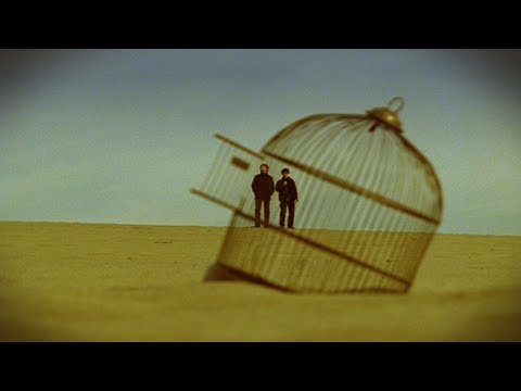 『飛べない鳥』MUSIC VIDEO のサムネイル