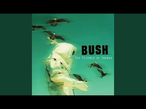 Spacetravel - Bush