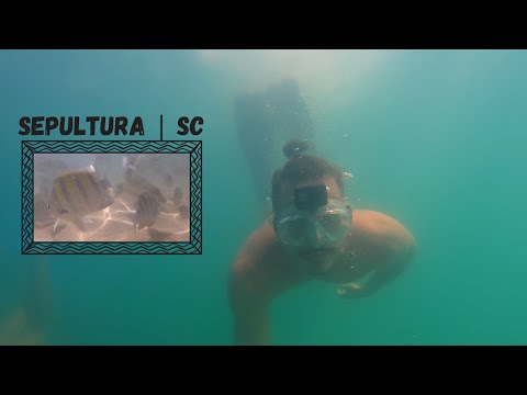 I SWAM TO THE BEST DIVING BEACH IN SOUTHERN BRAZIL - Beach Hunters 002#