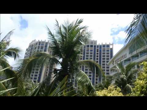 Территория, пляж, намережная.