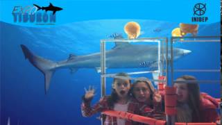 DIA 3 Expo Tiburon161