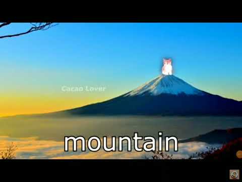 15 cat meow  sound variations in 25 seconds